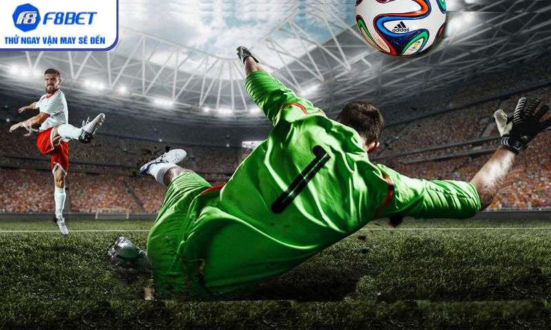 Kèo rung – Trọn bộ kinh nghiệm soi kèo hiệu quả cùng F8BET