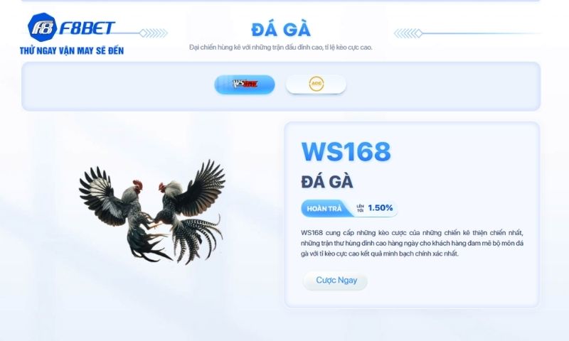 Đá gà F8BET: Sôi động từng trận, hấp dẫn từng ván cược