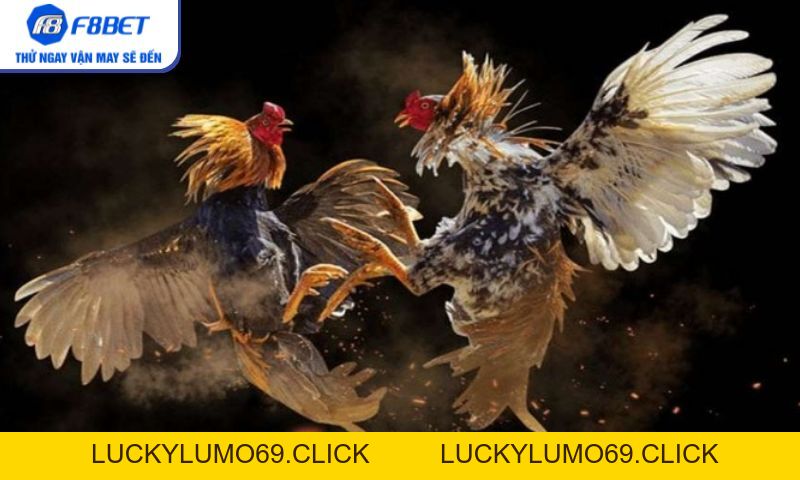 F8BET 🎖️ Link Vào Trang Chủ F8BET.COM Không Chặn - Đ.Ký +68k
